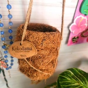 Kokodama' tiny hanging plant basket